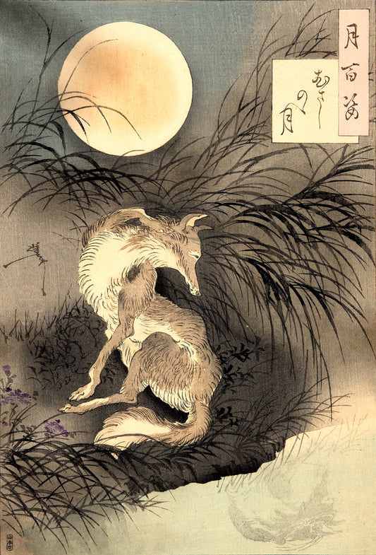 Musashi Plain Moon by Tsukioka Yoshitoshi (T-Shirt)